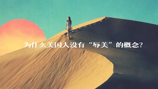 为什么美国人没有“辱美”的概念？