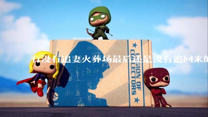 有没有追妻火葬场最后还是没有追回来的***？